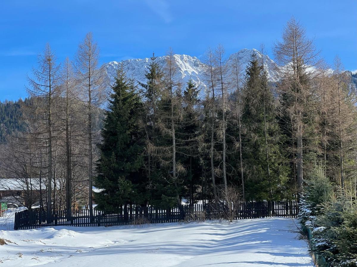 Apartament Szafir - Viva Pod Giewontem Apartamenty Zakopane Dış mekan fotoğraf